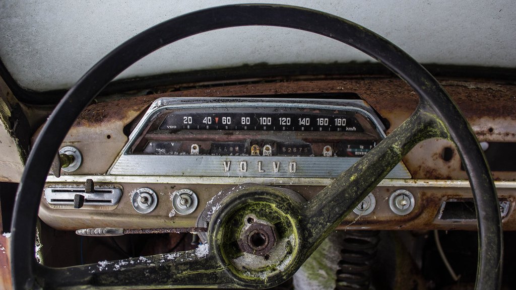 Green and white mold growing on the steering wheel hub and spokes of an old Volvo left standing in damp conditions
