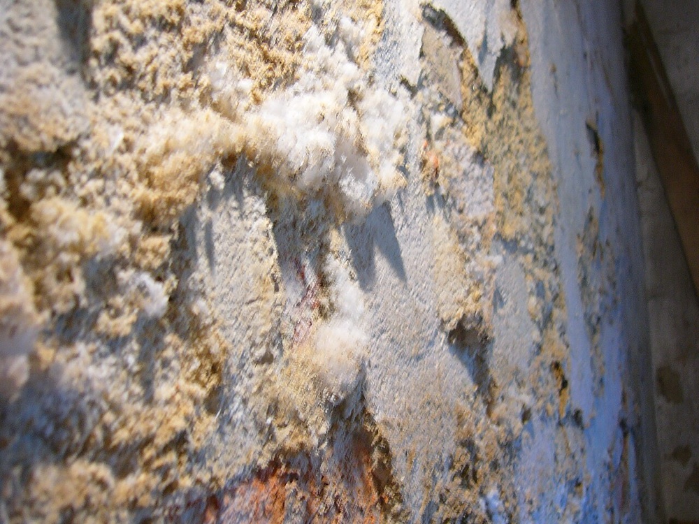 White crystalline salt deposits blooming across the surface of a brick and mortar wall