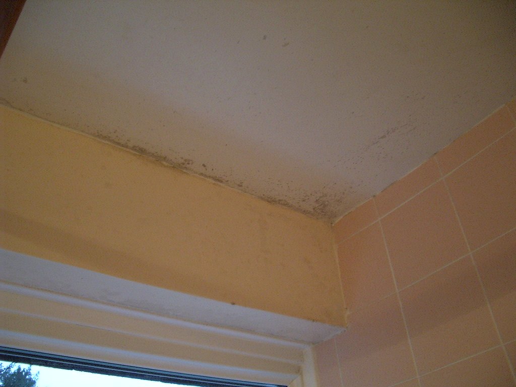 Dark mold spots spreading across a bathroom ceiling above a window