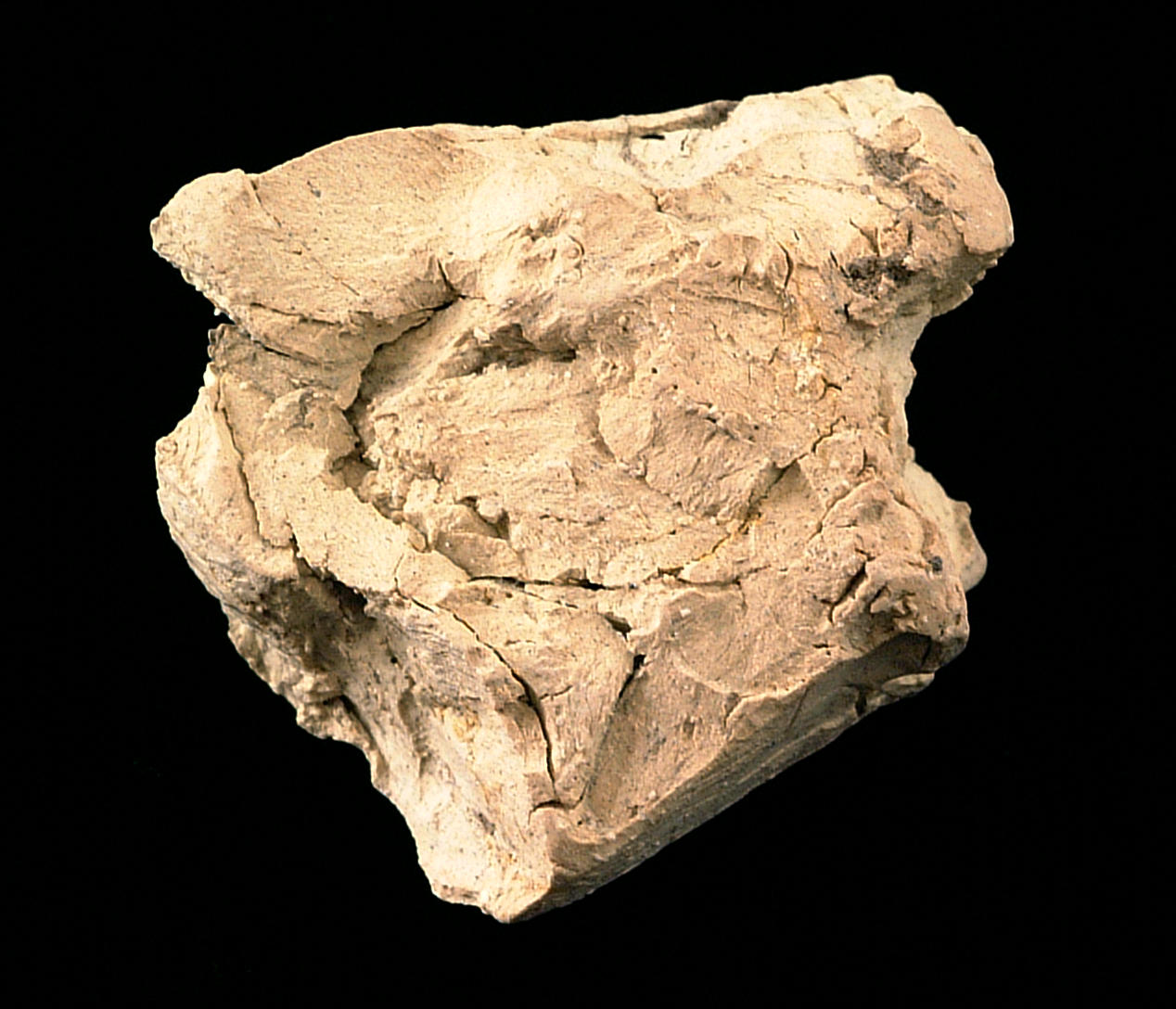 Una muestra de montmorillonita, el mineral arcilloso que se vende purificado como captador de montmorillonita cálcica