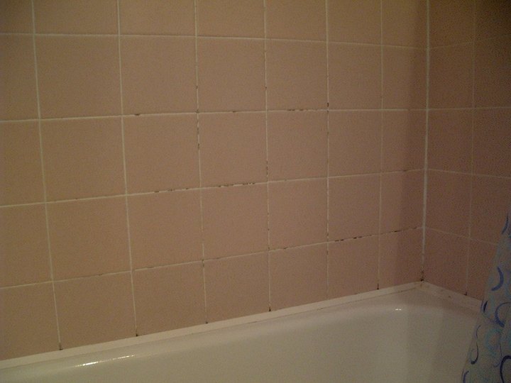 Photo 2: Mid-range example of a good mold photo